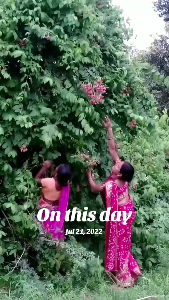 @Mamta Karna641