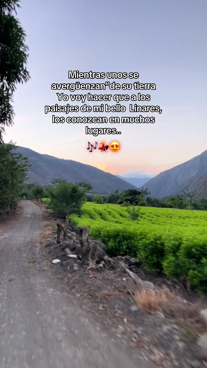 @彡[ʀᴏʟɪᴛᴀꜱ ツ࿐