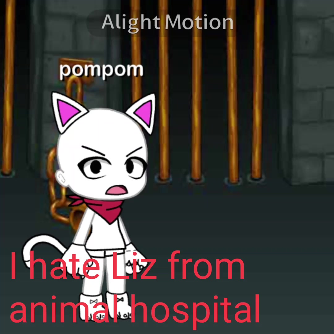@pompom_cool2