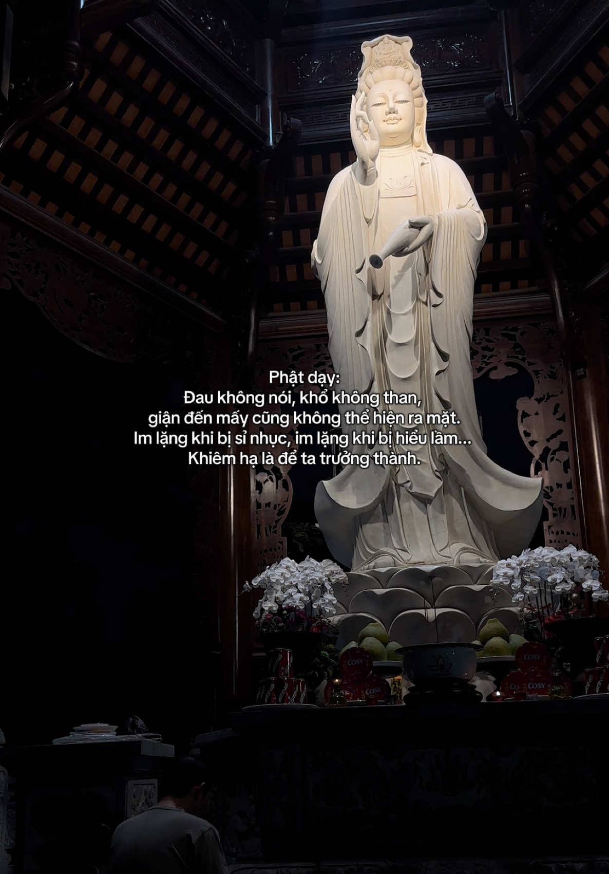 @🪷An Tịnh Lắng Dịu🪷