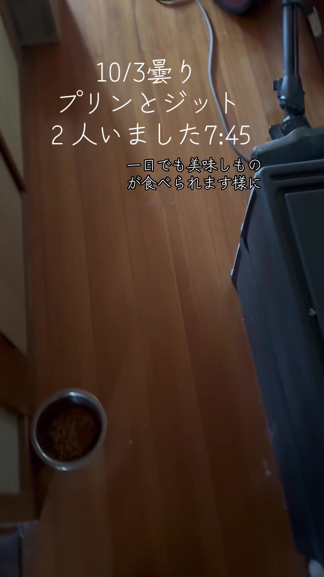 @とのひかる🐾🐈🐈⬛🐾