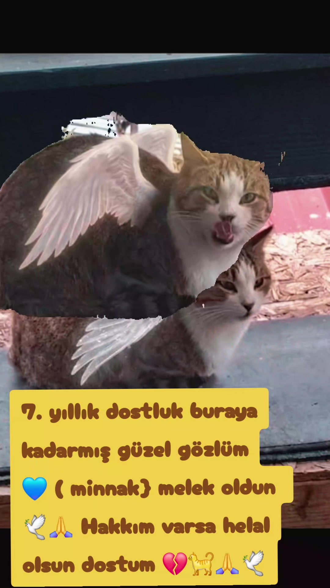 @62🌜🅰🎵_1907