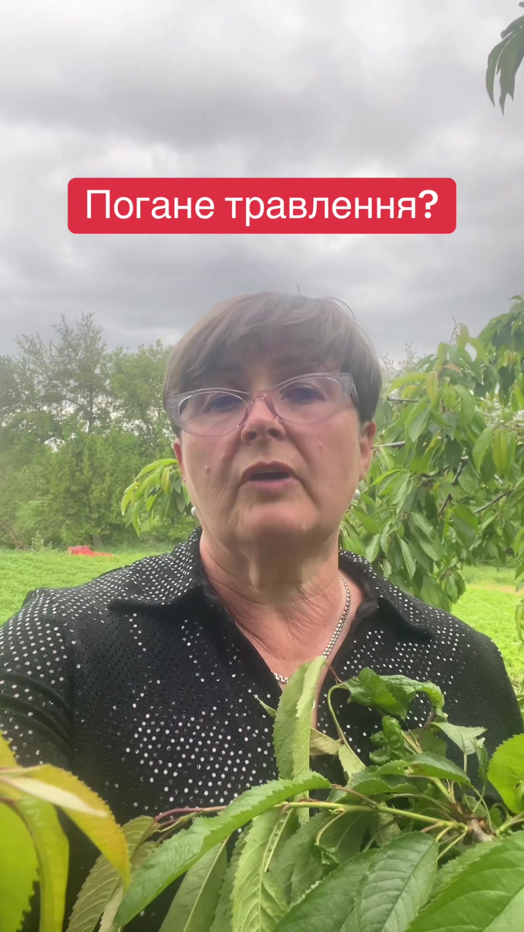 @Тетяна Дяченко