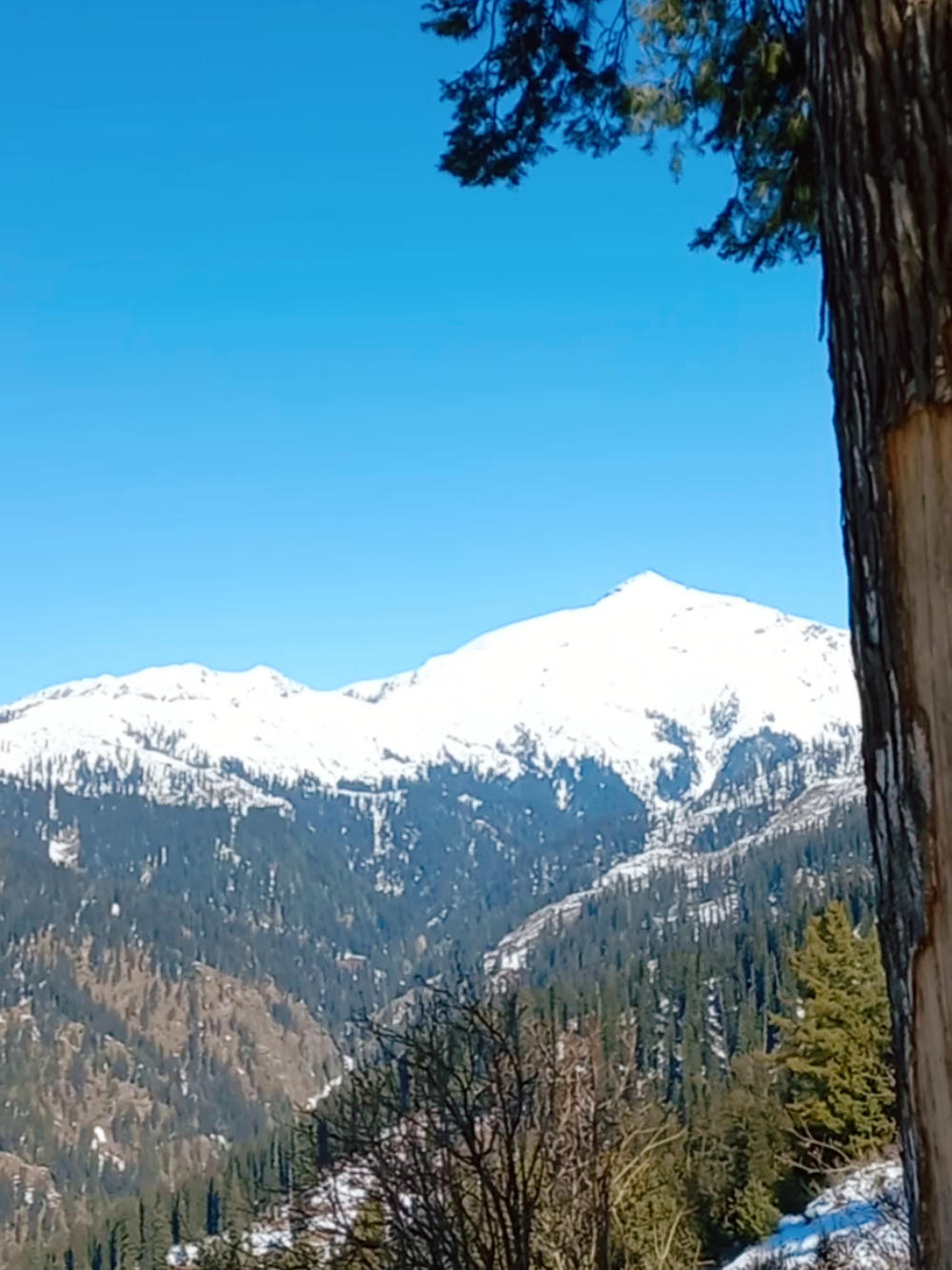 @DR.QAISAR KHATTAK