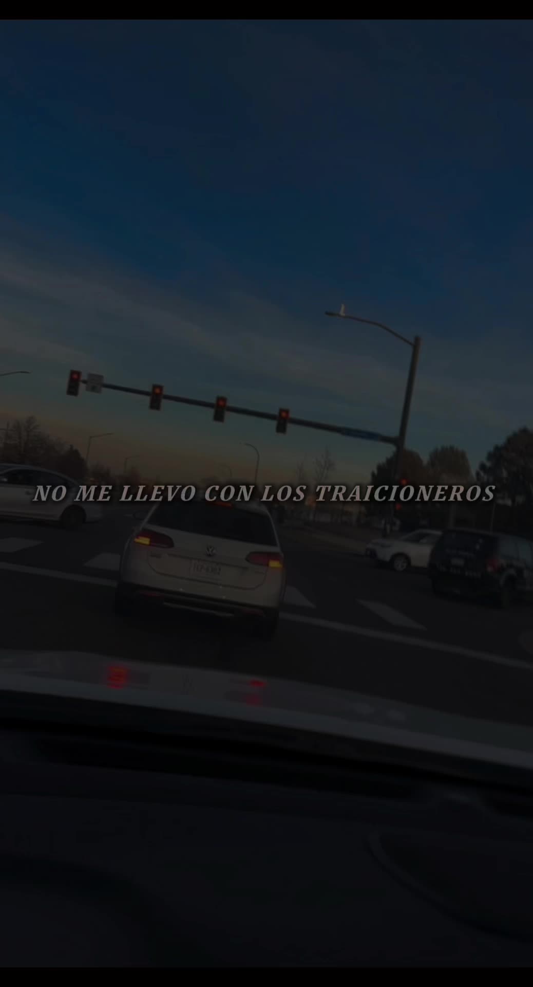 @elvinpalma
