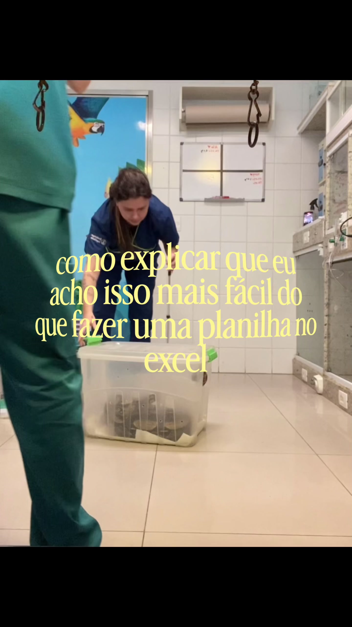 @Marcela Antunes
