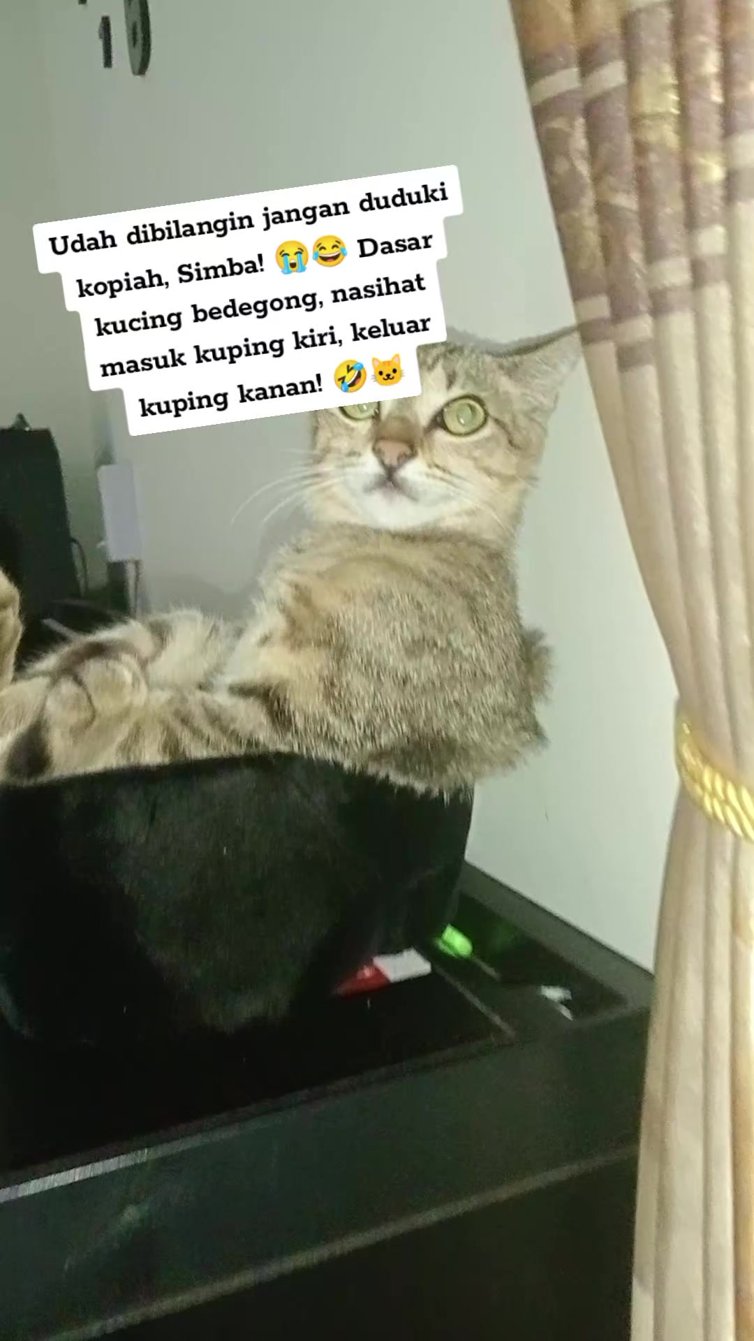 @Lina herlina