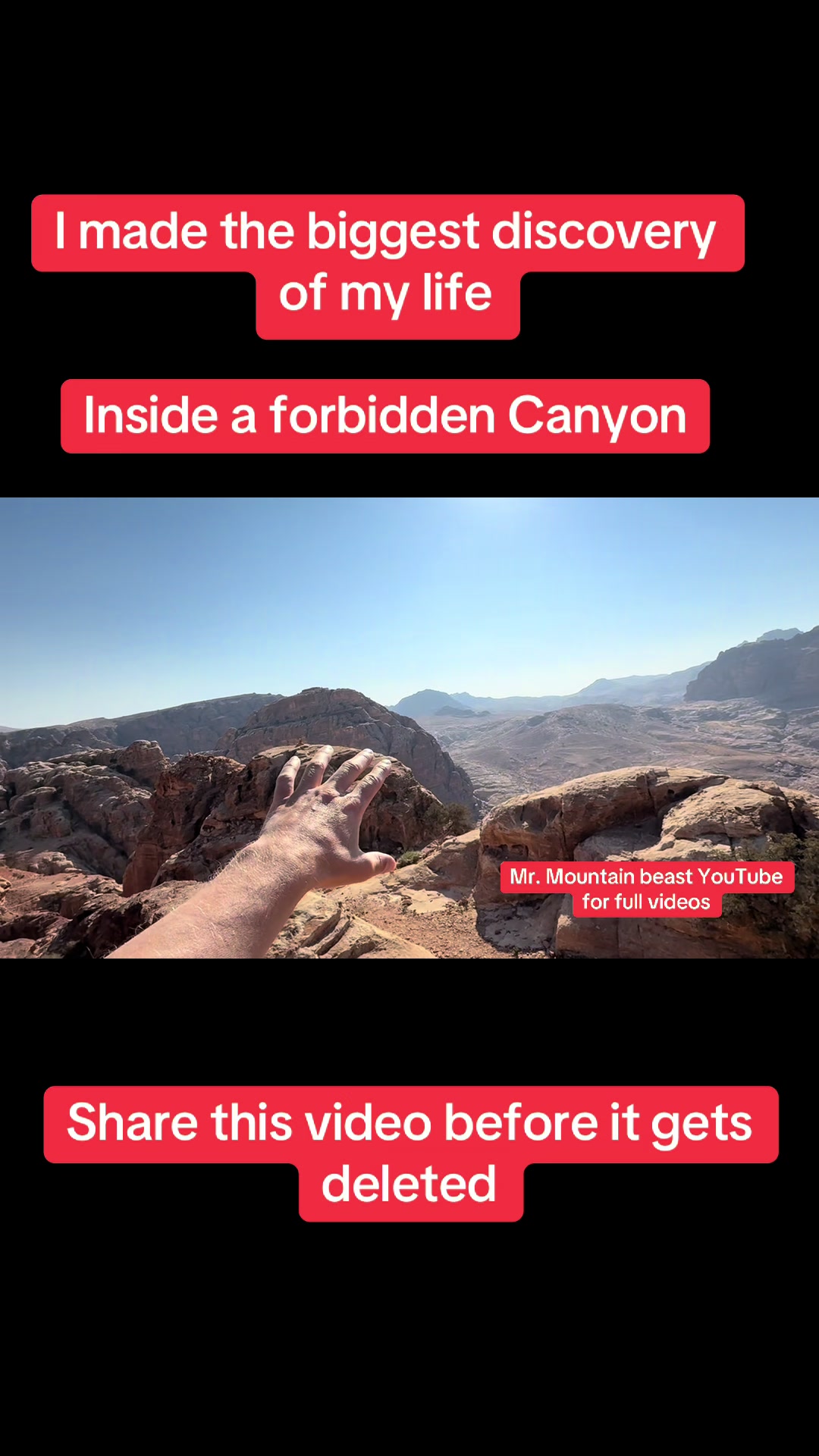 @Mr.mountainbeast