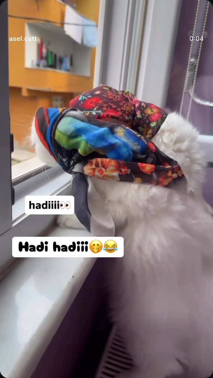 @Şapkalı Kadın