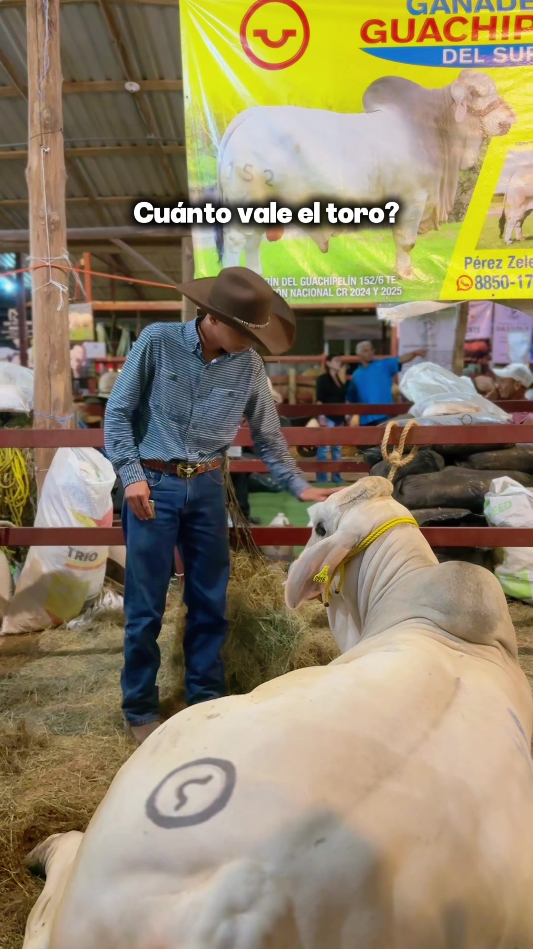 @C.Vargas