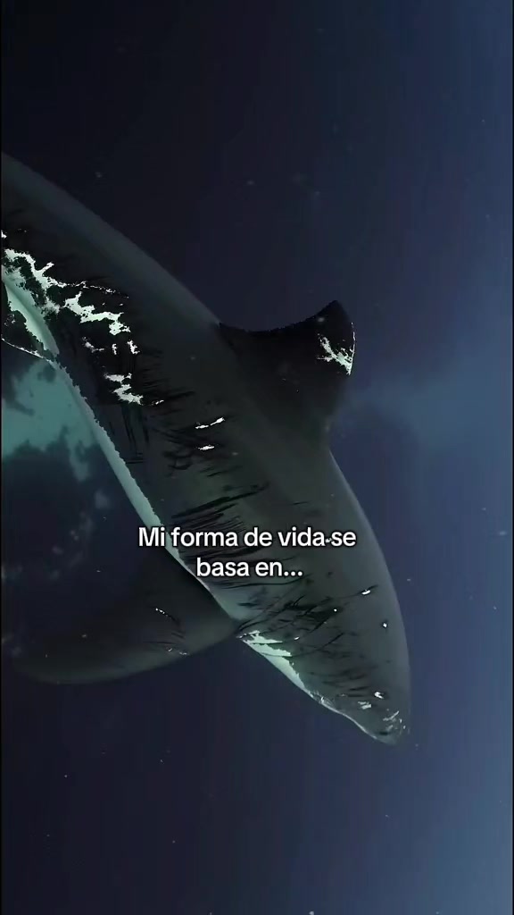 @1%