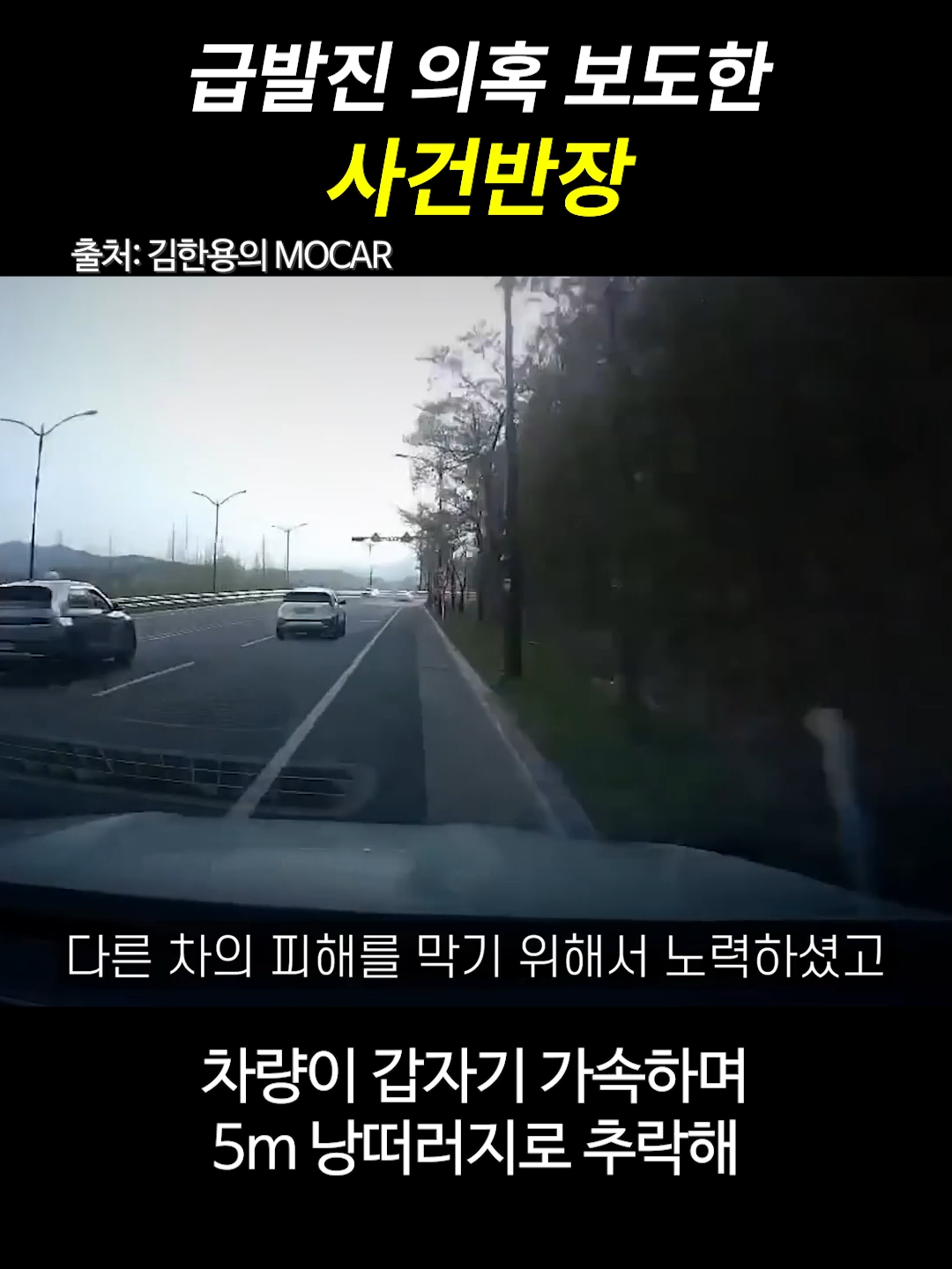 @일요시사