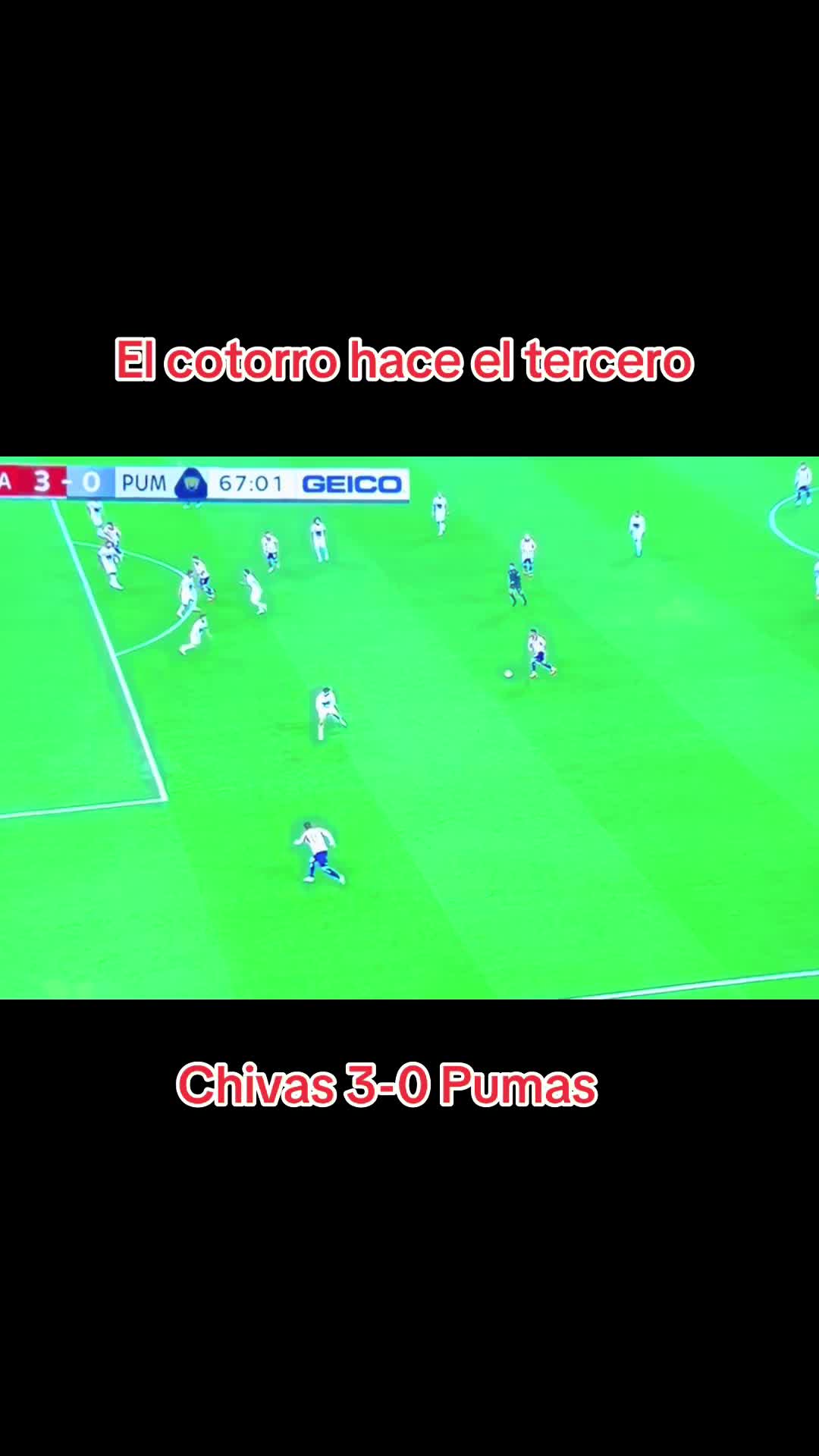 @Javier Salazar Rizo