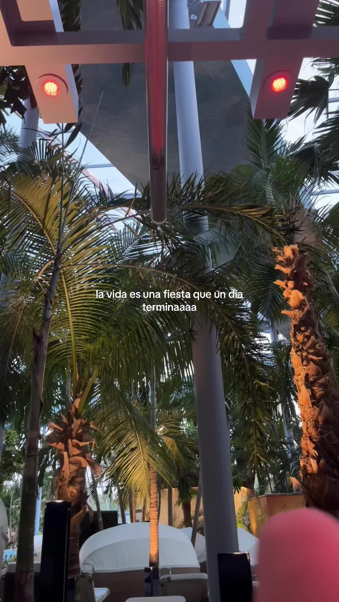 @cha