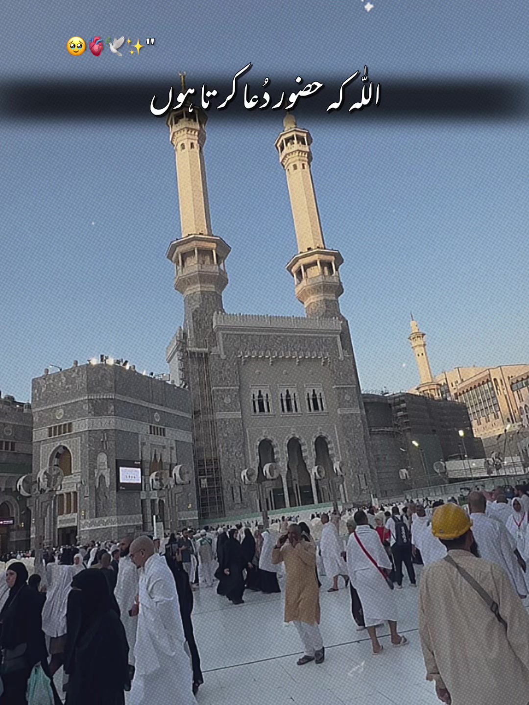 @Rana Jibran