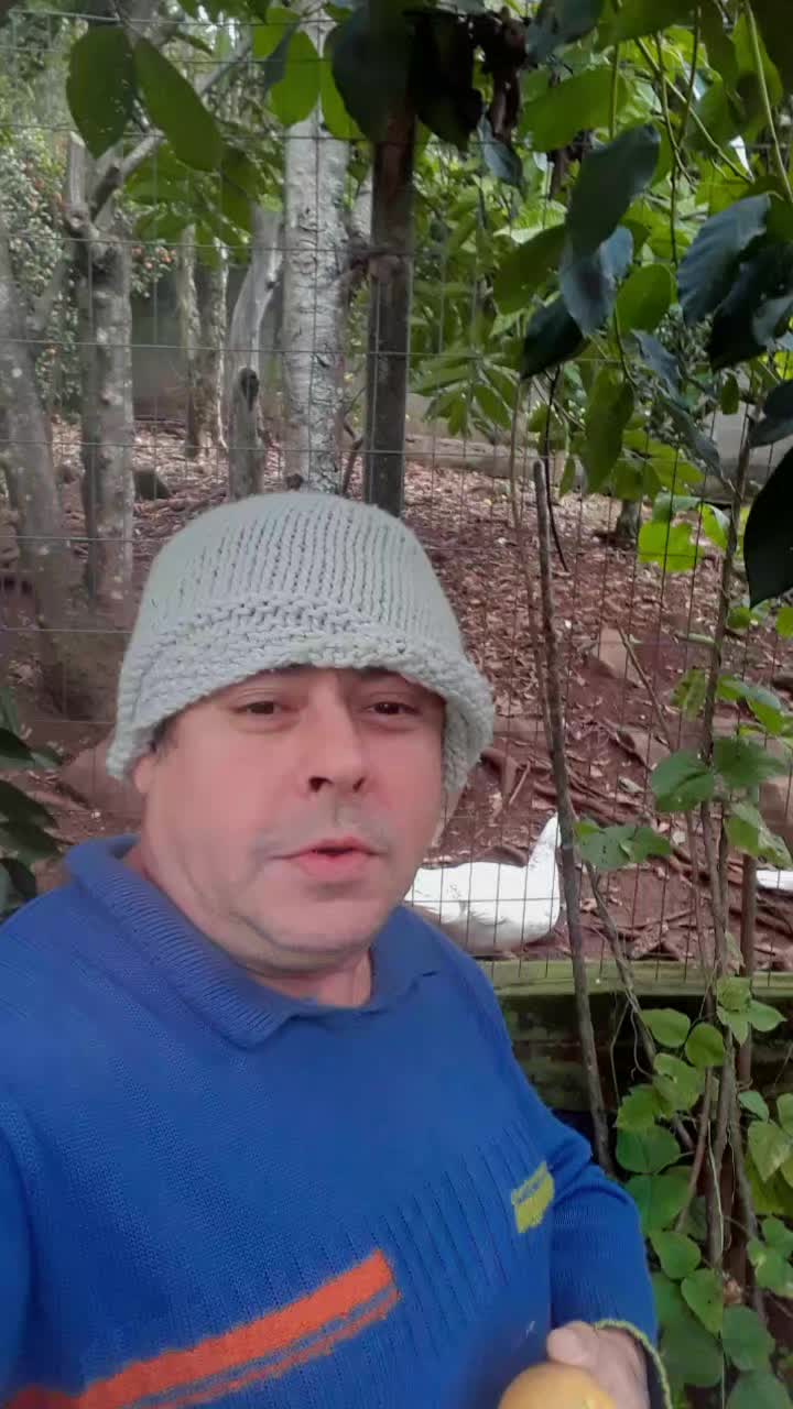 @Silva Rodrigo