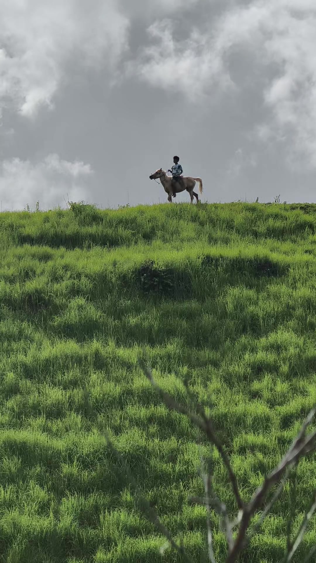 @Wonders Of sumba