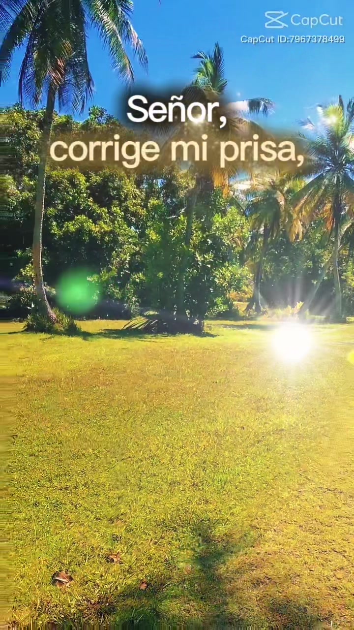 @Ely Cerna Digital