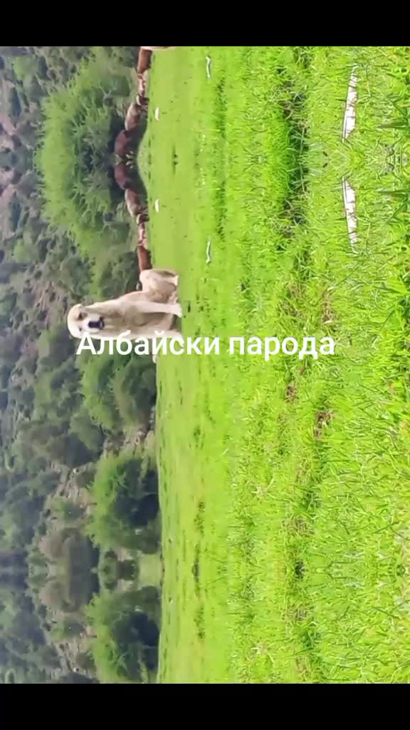 @Ҳотамҷон Рустамов