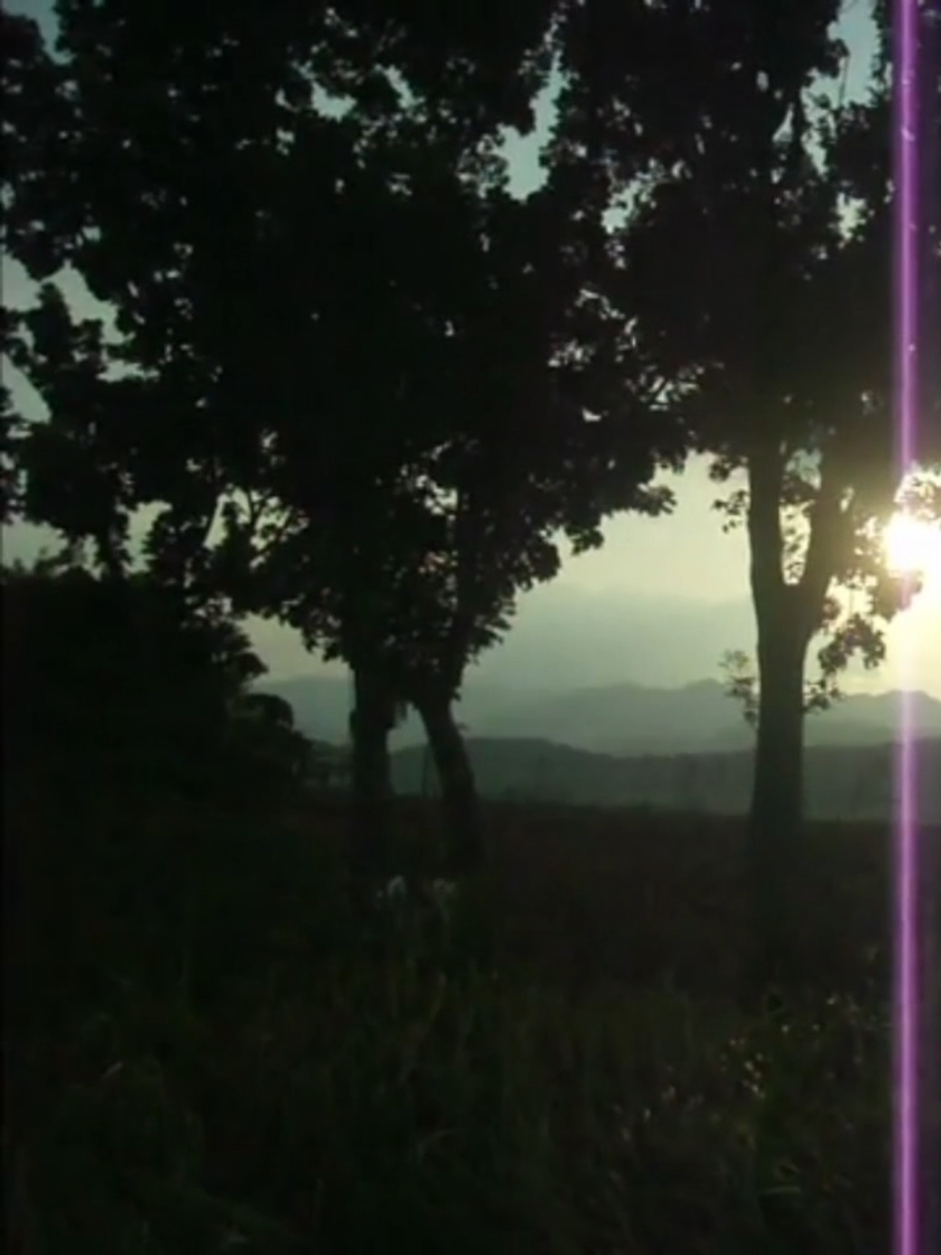 @Springᯓִֶָ࣪☾.