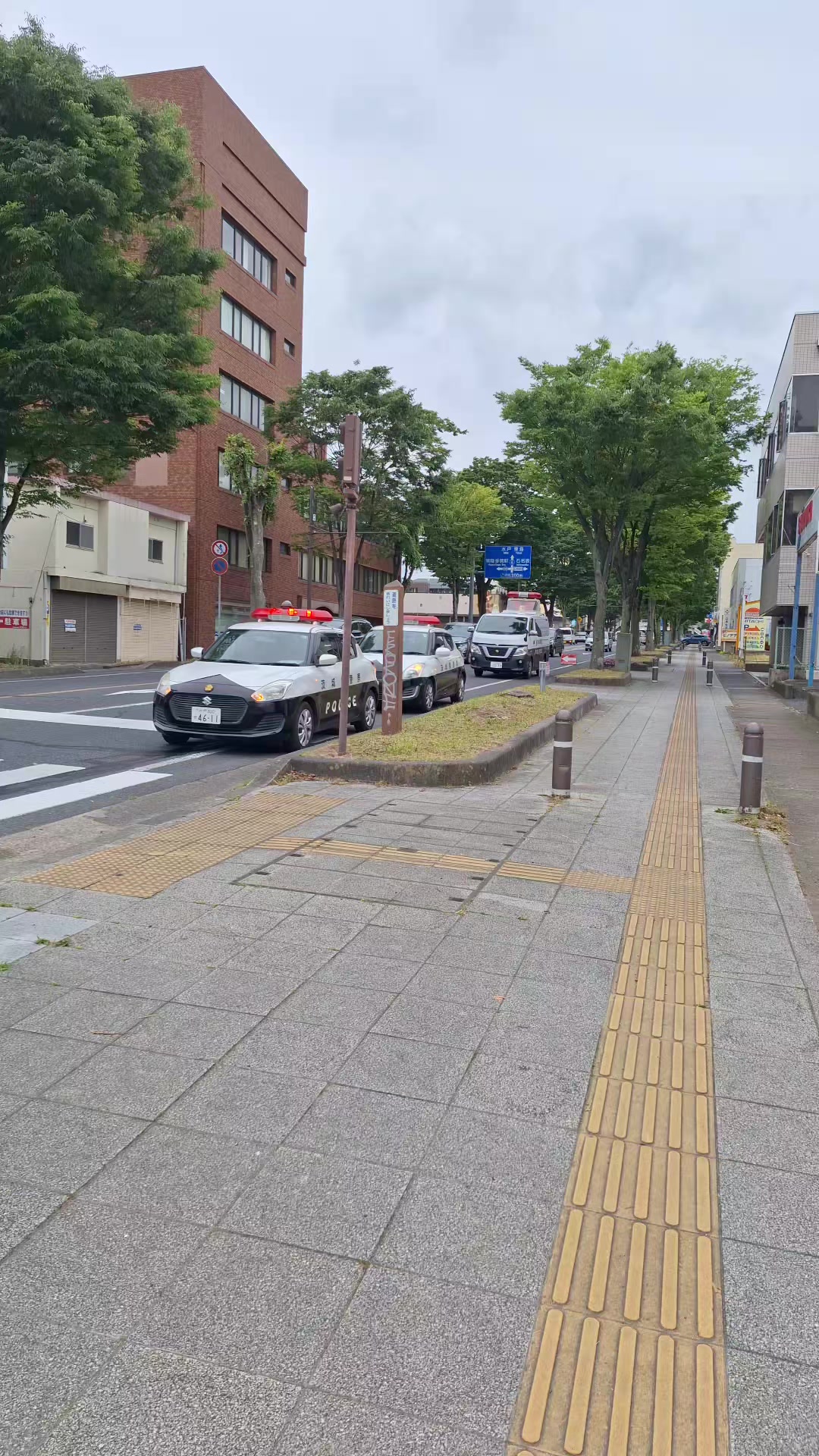 @衝撃目撃ニキは見た