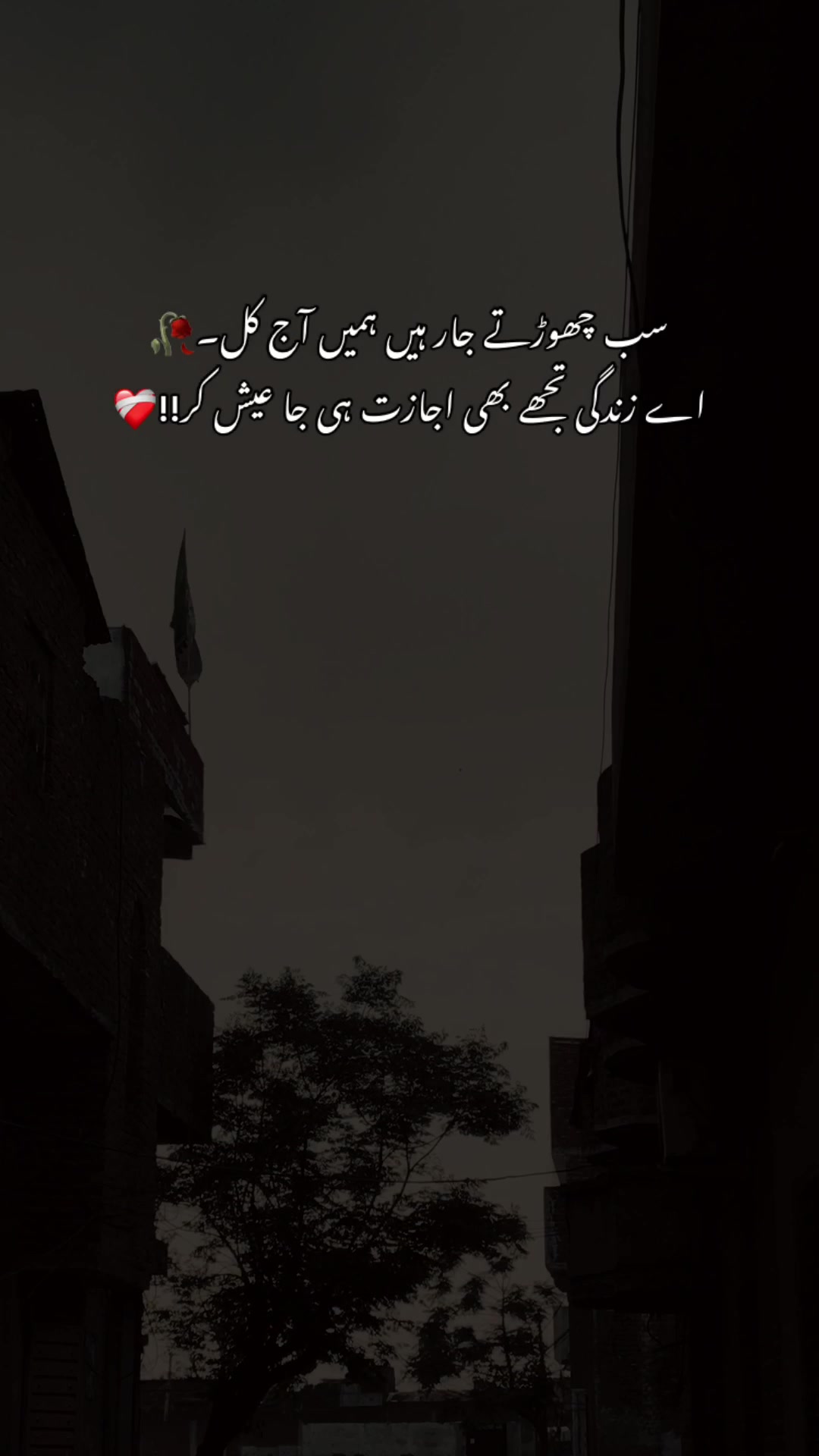 @>پاگل ہو <🦋
