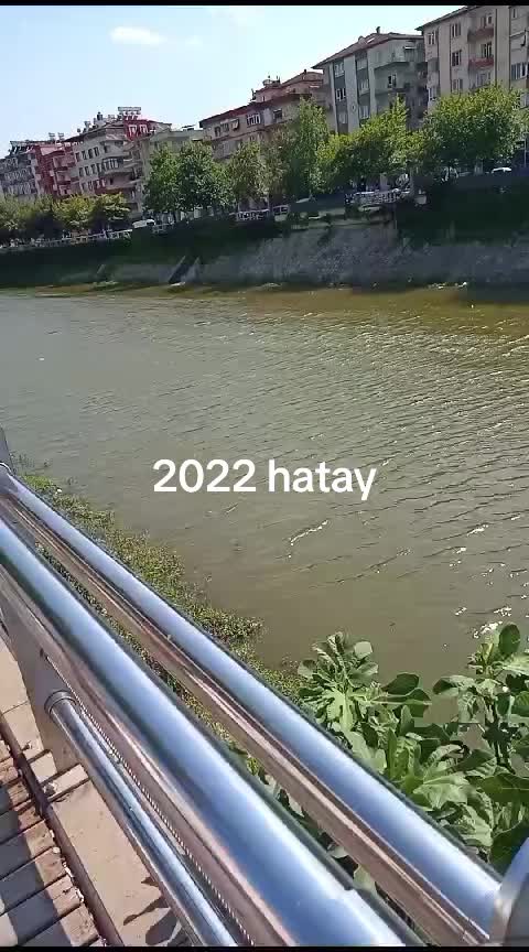 @acı hayat