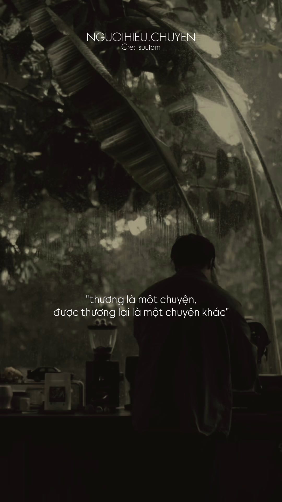 @Người Hiểu Chuyện