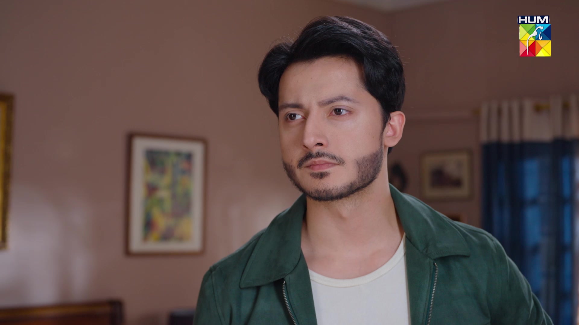 @HUM TV