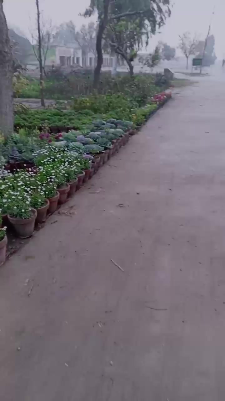 @Kanwal Kanwal