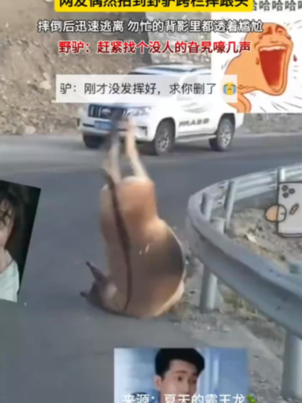 @中国蓝国际