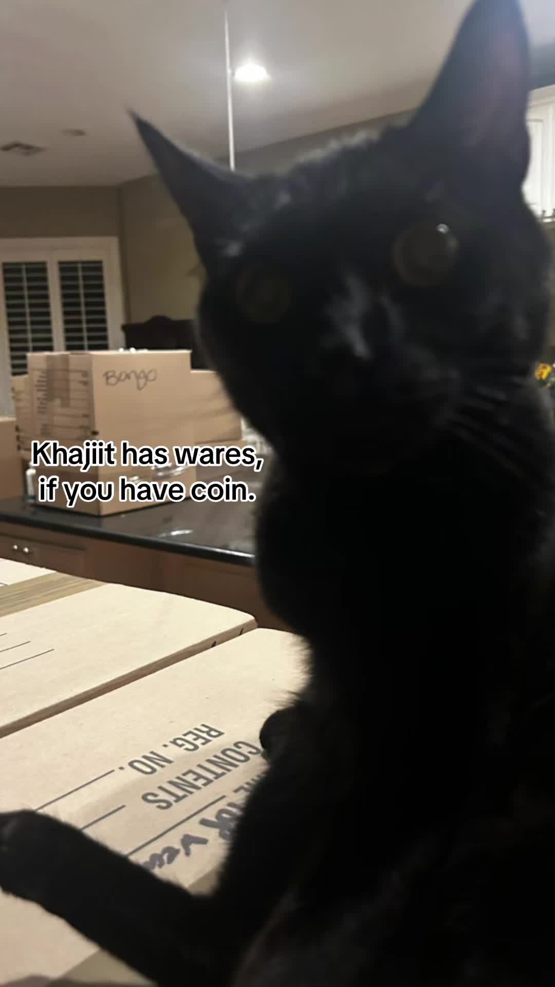 @felix🐾