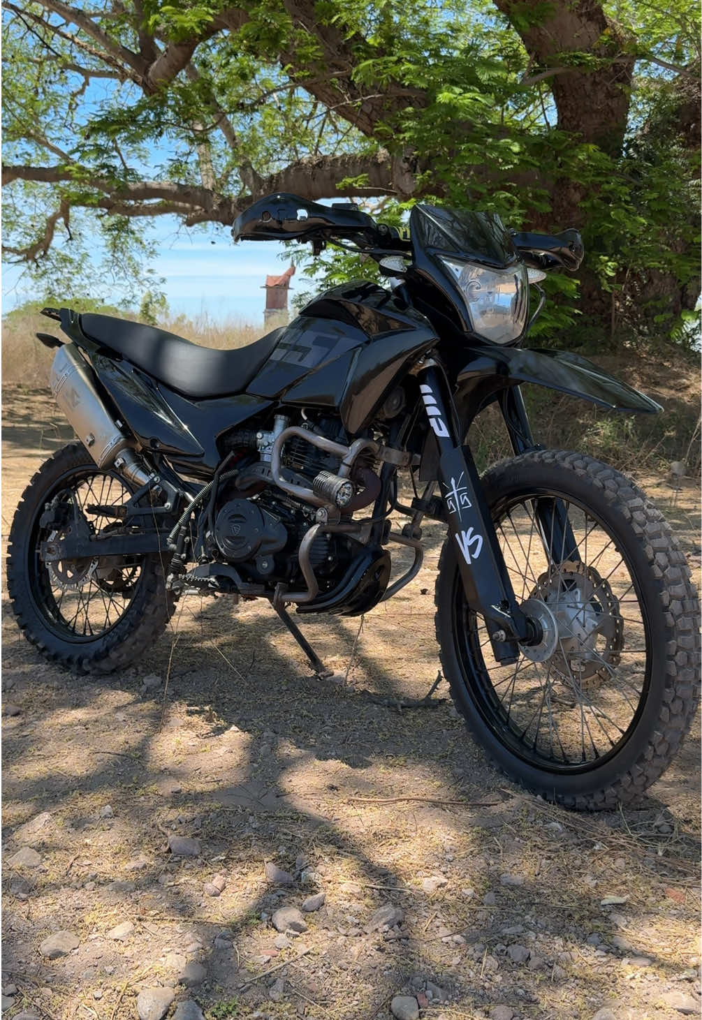 @Roy Biker