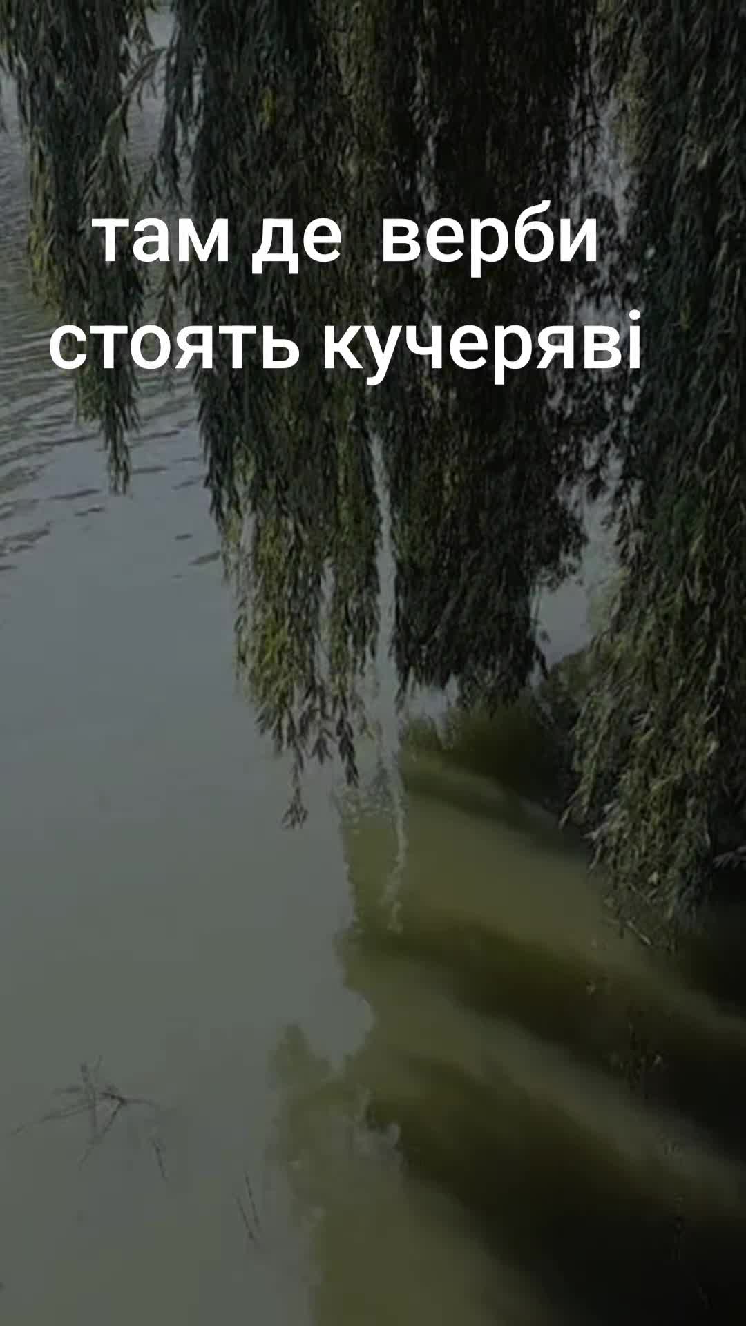 @Божена