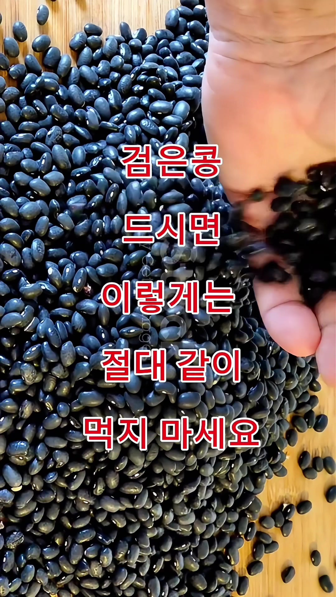 @김 박사입니다