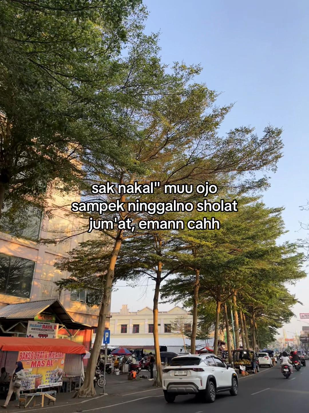 @𝙎𝙀𝙈𝙍𝘼𝙒𝙐𝙏✰