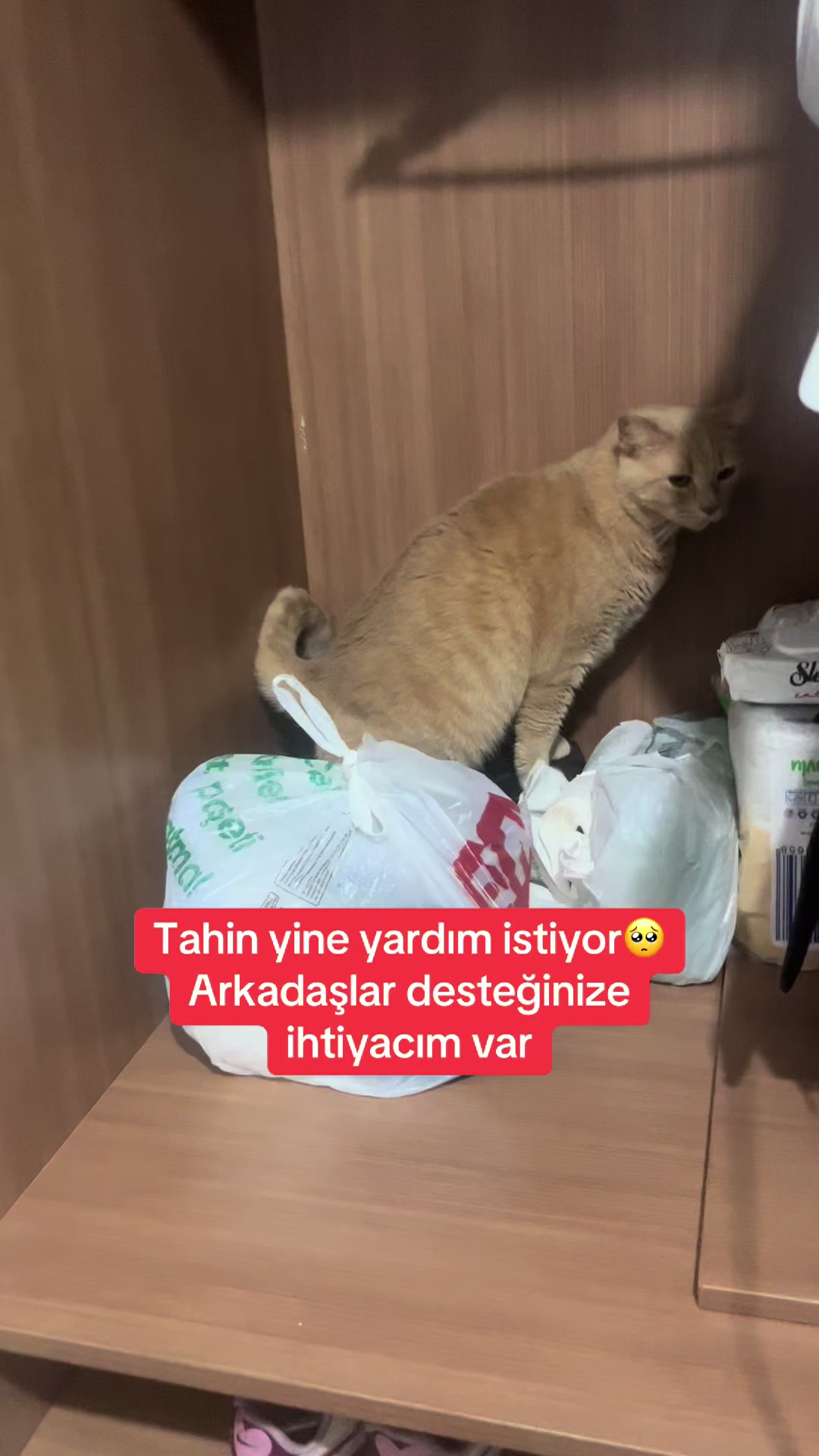 @Yesiminpatileri61