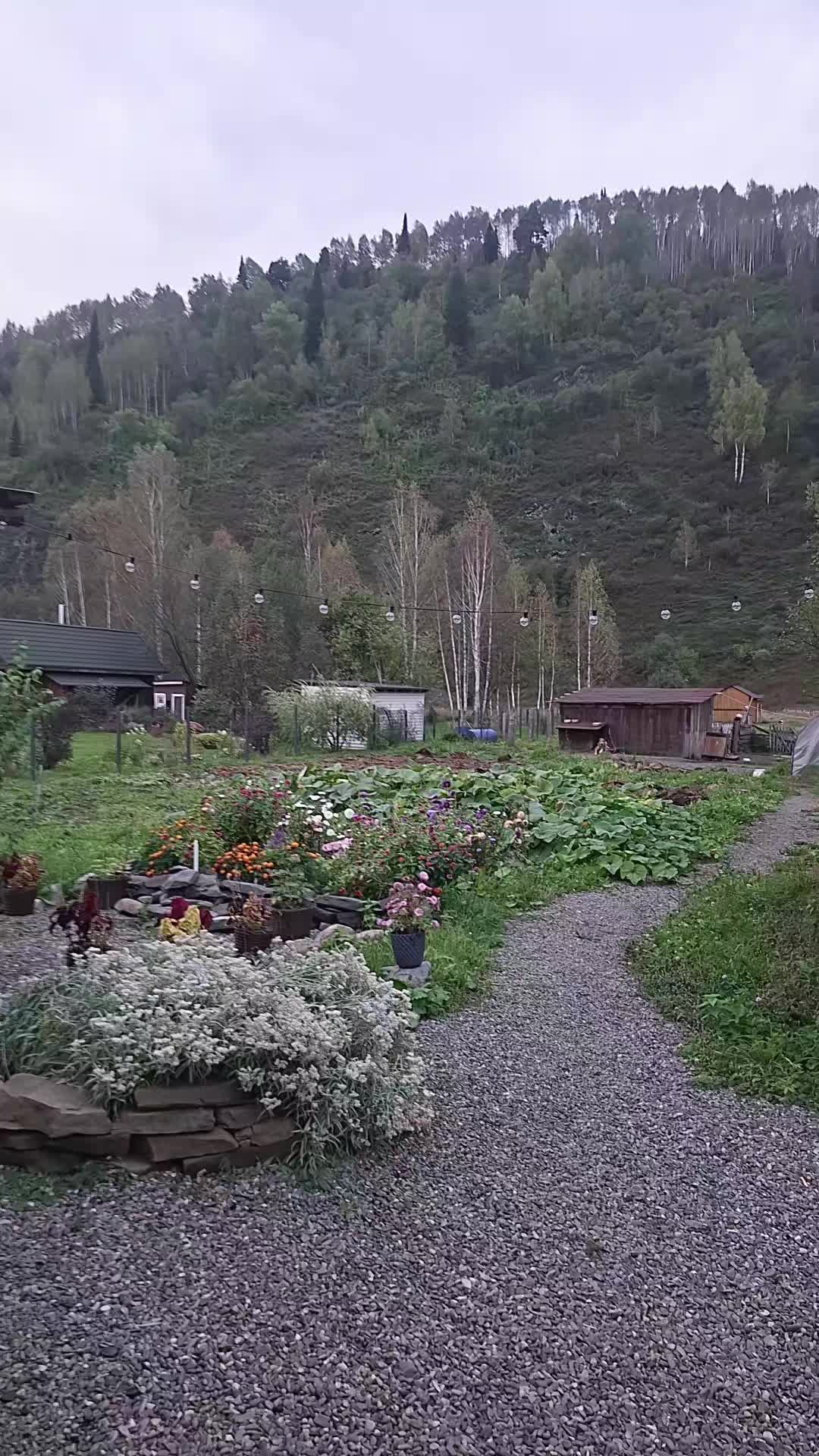 @Ириска☑️