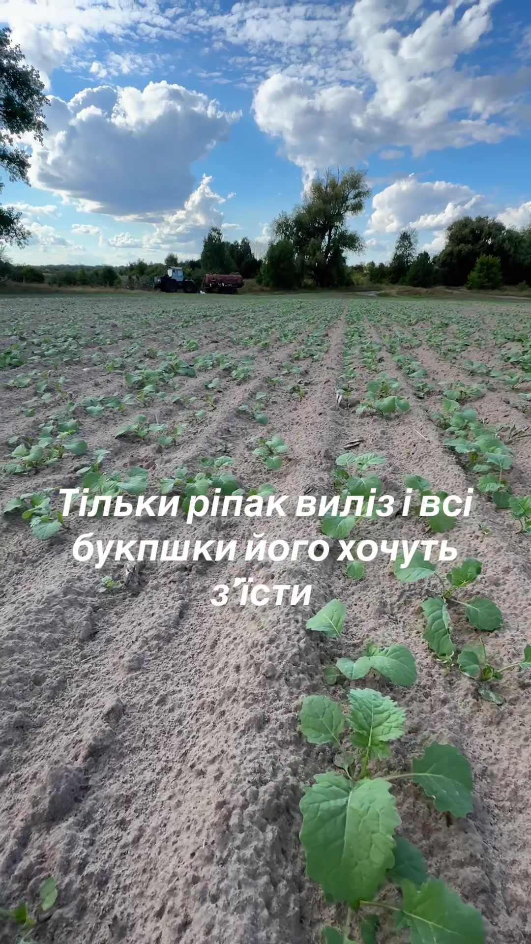 @Sasha🇺🇦John Deere🇺🇦🚜🌾🌽