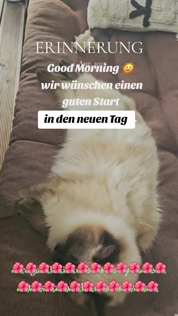 @Natalie 💞
