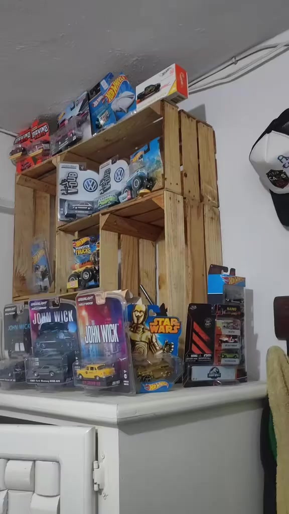 @DardoCollector