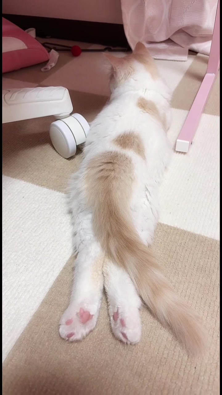 @Kiki