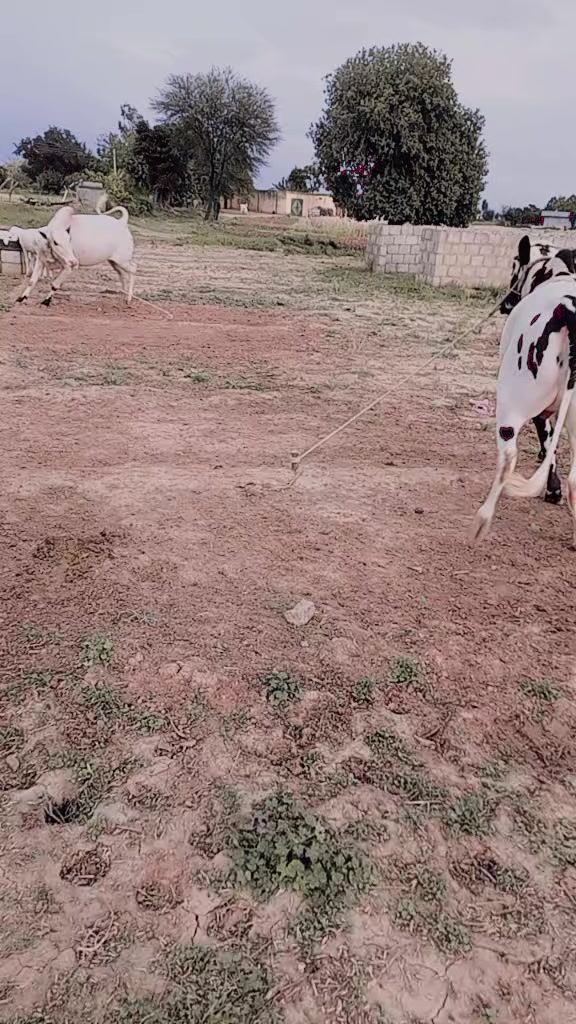@N&hearts;️K