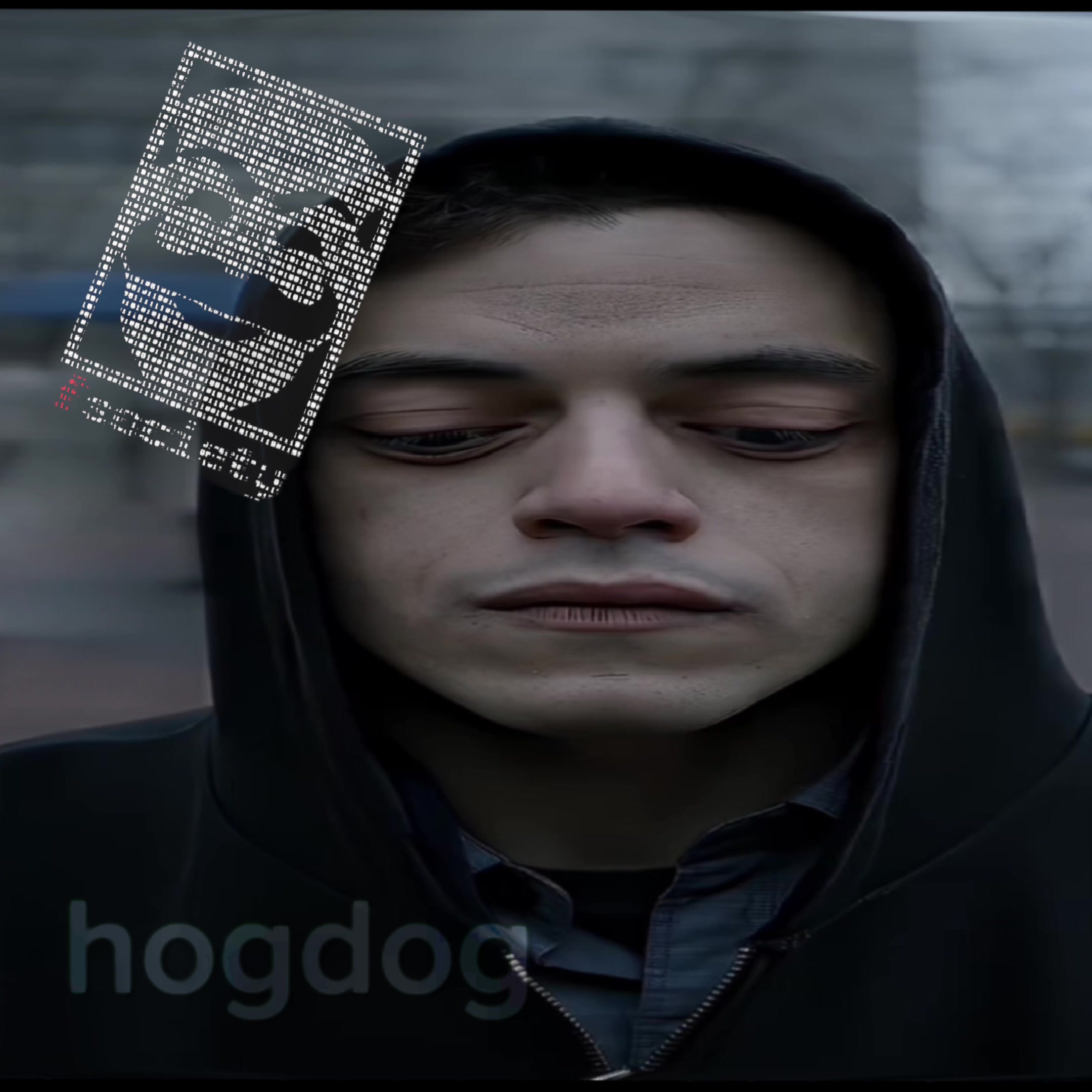 @hogdog