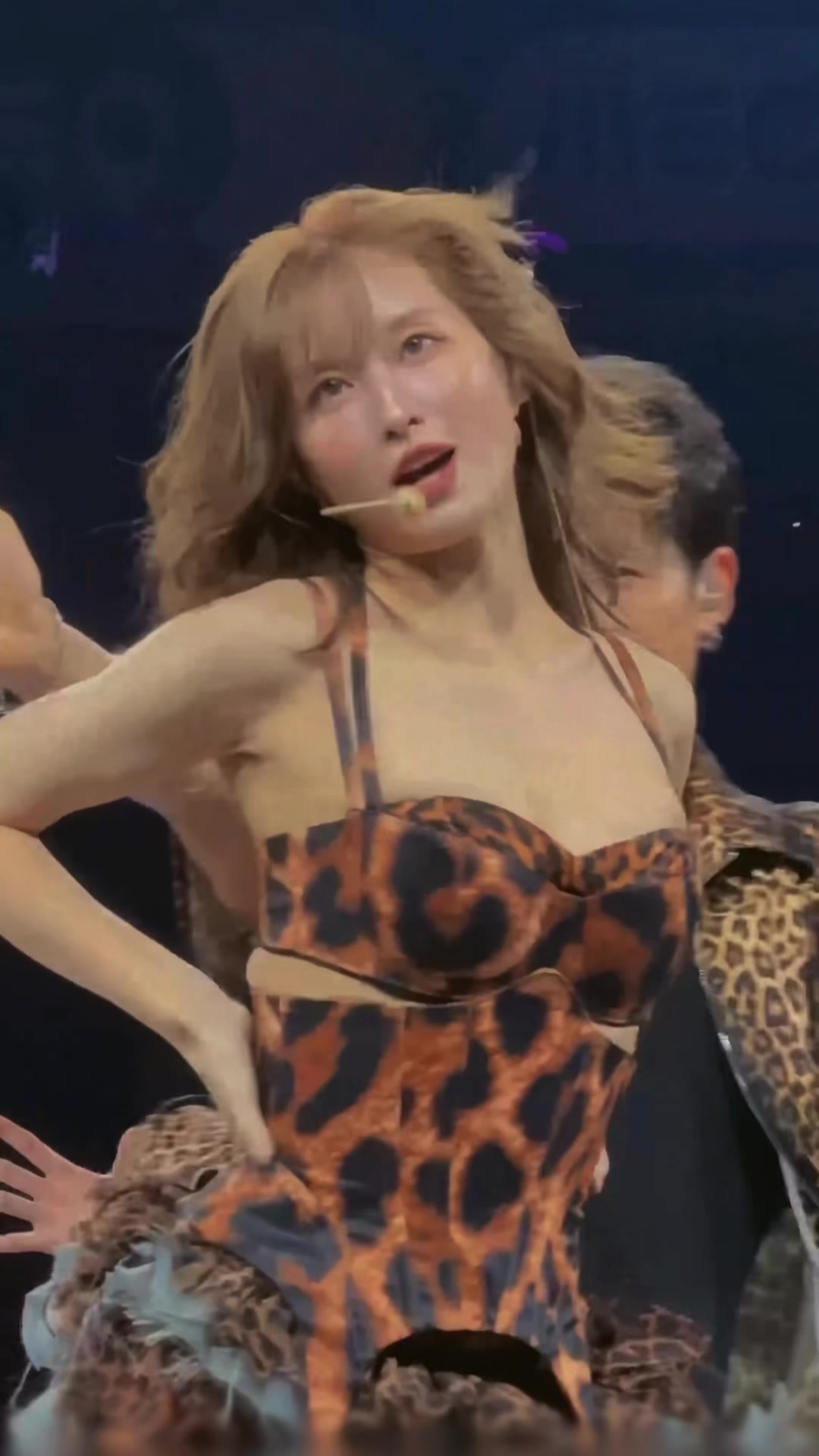 @MOMO
