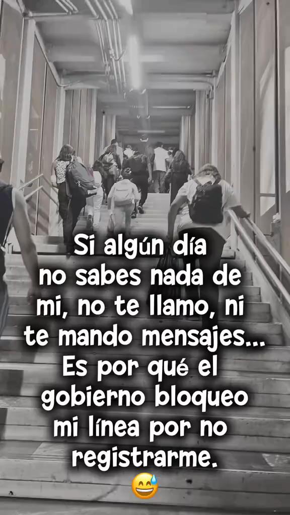 @m.elisa theniers
