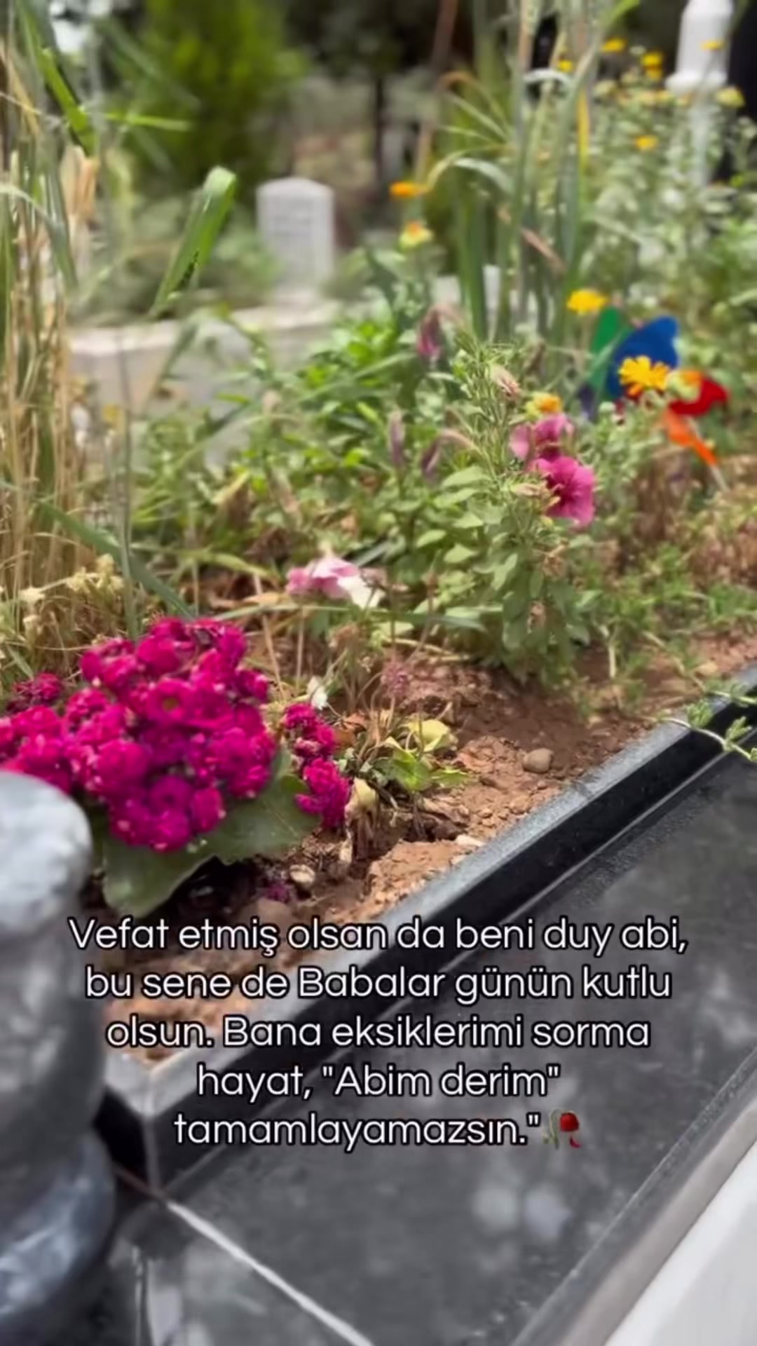 @Roj&hellip;da
