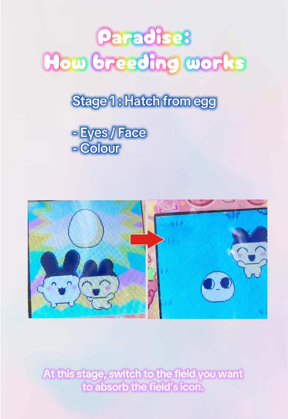 @Cookie Monster