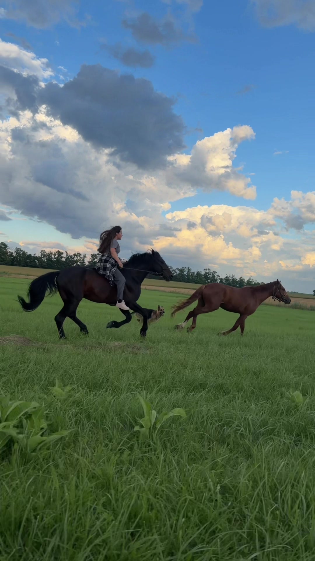 @oks__tatarintseva