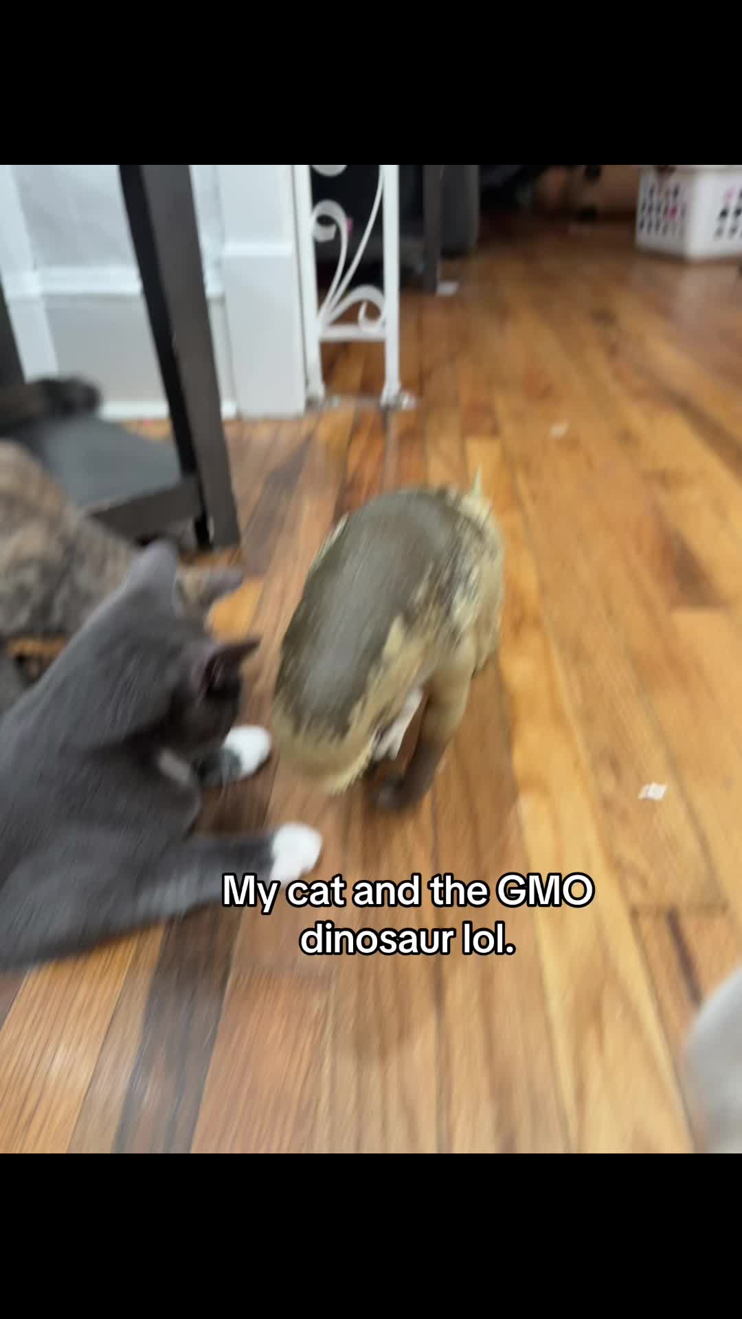 @Erica
